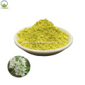 sophora japonica extract quercetin 98% quercetin powder